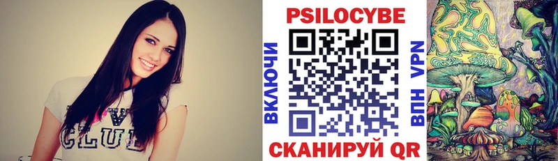 Псилоцибиновые грибы GOLDEN TEACHER  как найти закладки  Северо-Курильск 